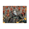 WHITE DWARF 500 MAJ 2024